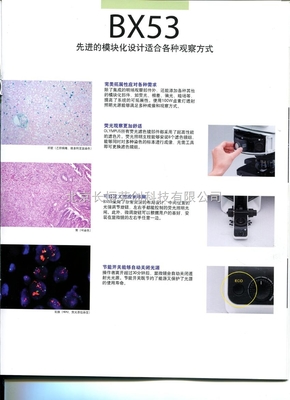 BX53T-32F01三目顯微鏡 奧林巴斯精密工藝的最佳選擇